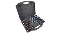 Schraubendreher-Set mit Schlakkopf 12tlg.