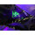 UV-Lecksuch-Taschenlampen-Satz, 8-tlg. By