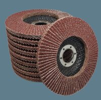 Fächerscheiben 125 X 22 mm Grit 40 Lamellenscheiben...