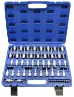 Steckschlüssel Satz Torx Sechskant Vielzahn 49 tlg. CRV